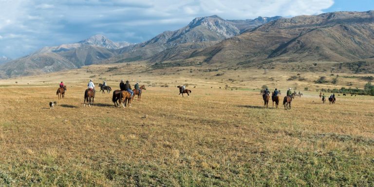 Buzkashi