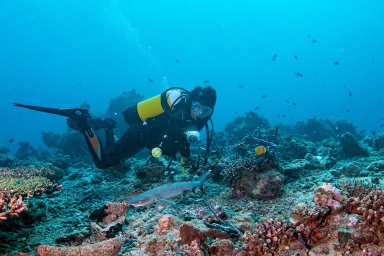 Immersione