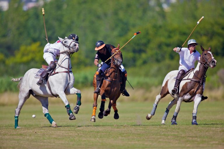 Polo