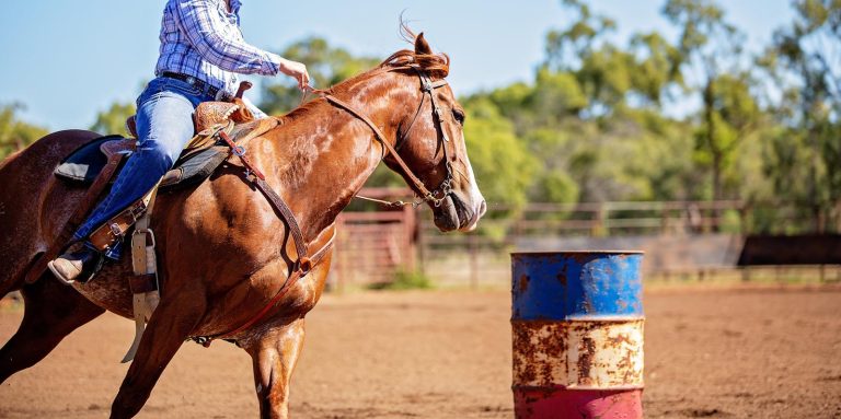 Reining