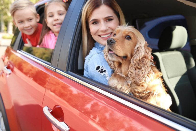 Restituzione anticipata auto in leasing