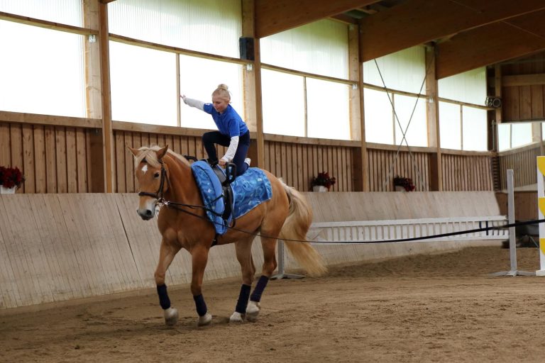 Volteggio a cavallo